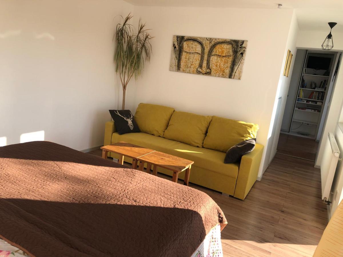 Apartman - D - Vyhlidka Nad Rekou Zdiby Exterior foto